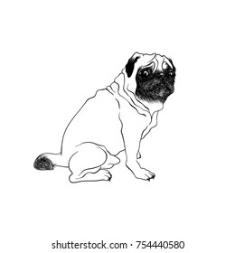 Adorable Realistic Pug Dog Drawing