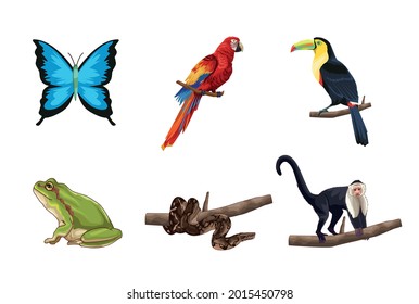 Cute and realistic jungle animals on white background