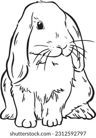 Cute realistic rabbit vector illustration