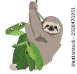 Cute Realistic sloth sitting on a tree brach isolated illustration
