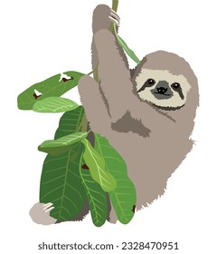 Cute Realistic sloth sitting on a tree brach isolated illustration