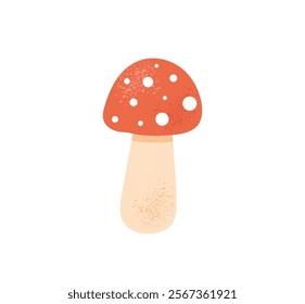 Cute red amanita mushroom, poisonous fly agaric. Toxic autumn or fall fungus with white spotted cap. Hand drawn vector illustration isolated on white background. Flat cartoon style