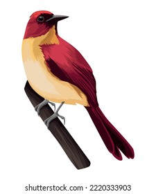 cute red bird in branch icon