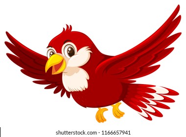 A cute red bird on white background illustration