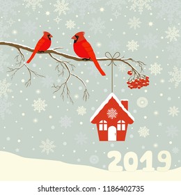 Cute red cardinal bird with birdhouse on branch in winter