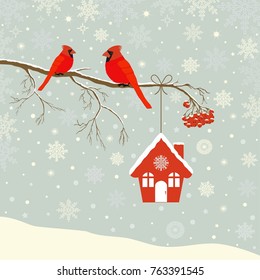 Cute red cardinal bird with birdhouse on branch in winter