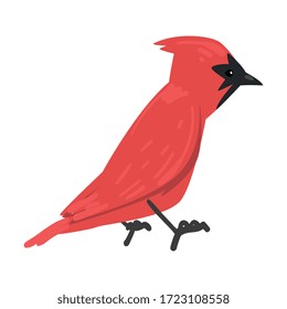 Cute Red Cardinal Winter Bird, Beautiful Northern Birdie Vector Illustration