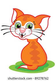 Cute red cat