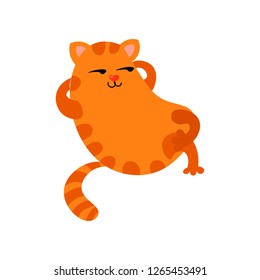 cute red cat with big black eyes and a nose in the form of a heart spends its free time.