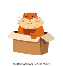 Cute Red cat inside box. Funny kitty sitting in cardboard package. Amusing feline animal pet in open carton pack. Adorable kitten in container. Flat vector illustration isolated on white background
