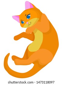 A cute, red cat lies on its back.