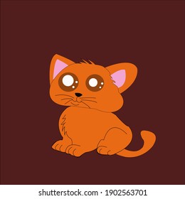 lindo gato rojo, pequeño gato
