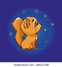 Cute red cat looking at the night sky and stars.