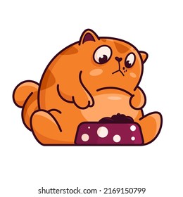 Cute red cat looks into a bowl of food. Shows emotions, where is the food, what is it, where is the meat. Cat character hand drawn style, sticker, emoji