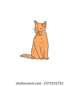 Cute red cat on white background