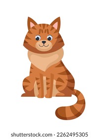 Cute red cat is sitting. Vector illustration of a funny tabby cat. Isolated on white background.