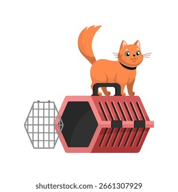 Cute red cat is standing on carrier. Traveling with pets concept. Vector Flat design, cartoon style. Vector illustration.