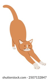 A cute red cat with white socks pulls up with pleasure. Flat style. Vector illustration.