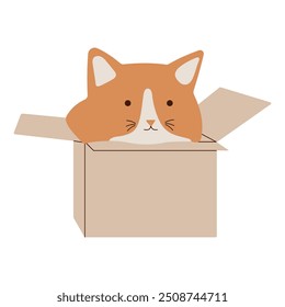 Um gato vermelho bonito com meias brancas senta-se em uma caixa pequena. Estilo plano. Ilustração vetorial.
