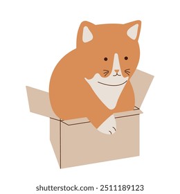 A cute red cat with white socks sits in a small favorite box. Flat style. Vector illustration.