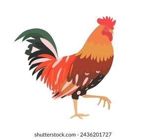 Cute Red cock, (rooster) illustration. Cartoon vector farm birds, isolated on White background. 