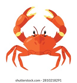 Cute Red Crab Illustration with Big Claws Raised Isolated on White Background for Marine Design