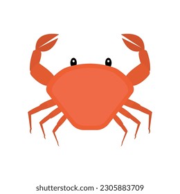 Cute red crab isolated on white background. Flat sea creature. Clip art of crustacean. Cartoon vector illustration