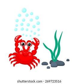 Cute red crab with water bubbles and seaweeds vector illustration Tropical sea life theme illustration Cartoon sea creatures Sea plants and animals vector graphic