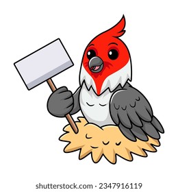 Cute red crested cardinal bird cartoon holding blank sign