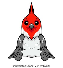 Cute red crested cardinal bird cartoon