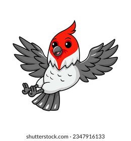 Cute red crested cardinal bird cartoon