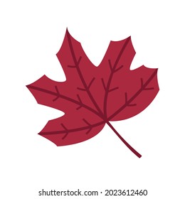 Cute red fallen maple leaf. Autumn element, clipart, object, item for graphic design. Symbol of Canada. Traditional autumnal season sign. Decor for card, banner, poster for Thanksgiving, Halloween.