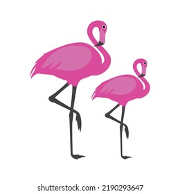 cute red flamingo, isolated on a white background. vector illustration