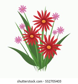 cute red flower flourish nature
