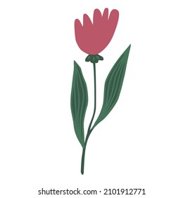 Flor roja curtida aislada. Huella botánica dibujada a mano. Ilustración del vector