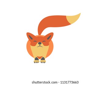 Cute red fox