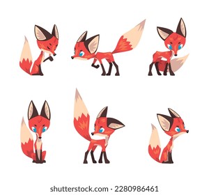 Cute Red Fox with Bushy Tail in Different Pose Vector Set