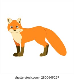 Cute Red Fox Cartoon