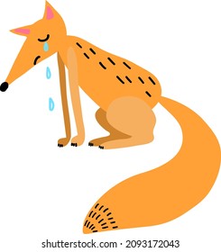 The cute red fox is crying. A fox with a large tail.