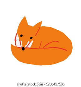 Cute red fox curl up isolated on white background. Adorable wild animal. Flat hand drawn style. Fun design for print. Stock vector illustration.