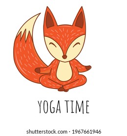 Cute red fox does yoga