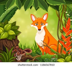 A cute red fox in forest illustration