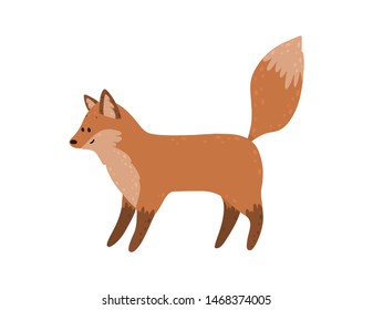 Cute red fox isolated on white background. Elegant vector illustration. Can be used poster, greeting card, gift, banner, textile, T-shirt, mug.