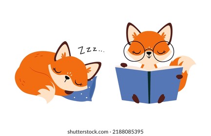 Cute Red Fox Sleeping on Pillow and Reading Book Vector Set