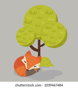 Cute Red Fox Sleeping Under Tree