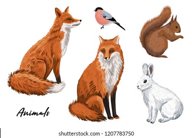 Cute red fox, white rabbit, squirrel, bullfinch winter woodland animals clip art.