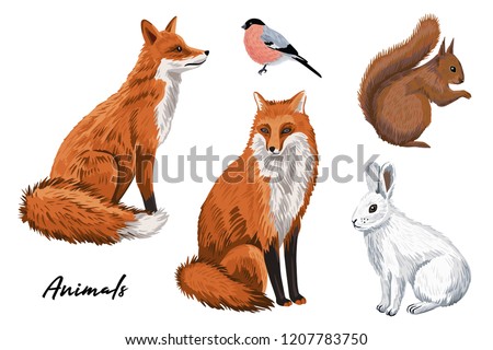 Cute red fox, white rabbit, squirrel, bullfinch winter woodland animals clip art.