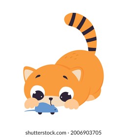 Cute Red Kitten Playing with Toy Mouse, Adorable Funny Pet Baby Animal Cartoon Vector Illustration