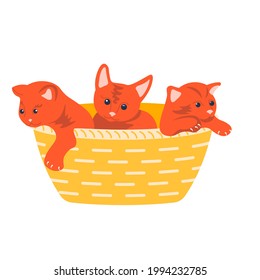 Cute red kittens in the basket isolated on white background. Flat Art Vector Illustration