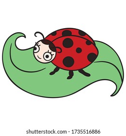Cute red Ladybug colored freehand, Pretty insect  illustration, beautiful summer bug on leaf sketch, coloring page image